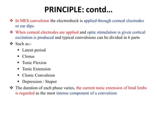 PRINCIPLE: contd…
 In MES convulsion the electroshock is applied through corneal electrodes
or ear dips.
 When corneal electrodes are applied and optic stimulation is given cortical
excitation is produced and typical convulsions can be divided in 6 parts
 Such as:-
 Latent period
 Clonus
 Tonic Flexion
 Tonic Extension
 Clonic Convulsion
 Depression / Stupor
 The duration of each phase varies, the current tonic extension of hind limbs
is regarded as the most intense component of a convulsion
 