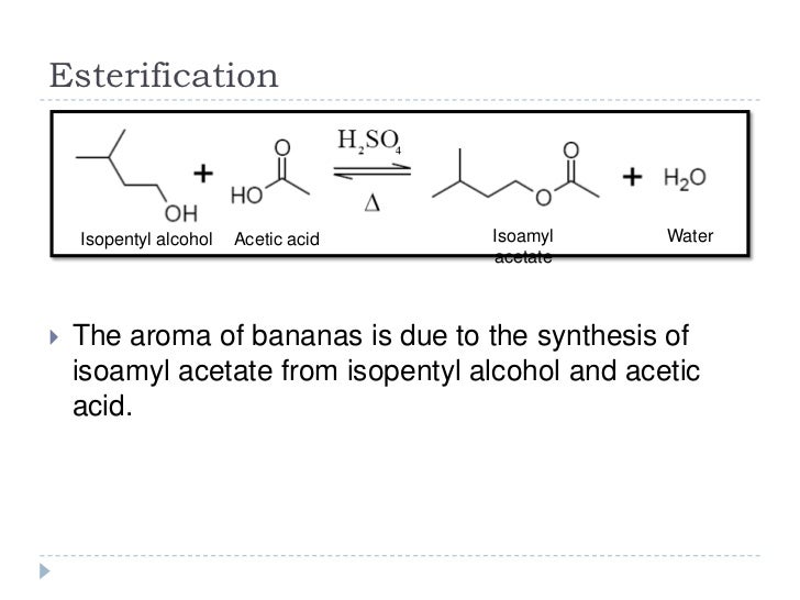 the yielding of isoamyl acetate by reacting acetic acid isoamyl alcohol the yielding of isoamyl acetate by reacting acetic acid isoamyl alcohol