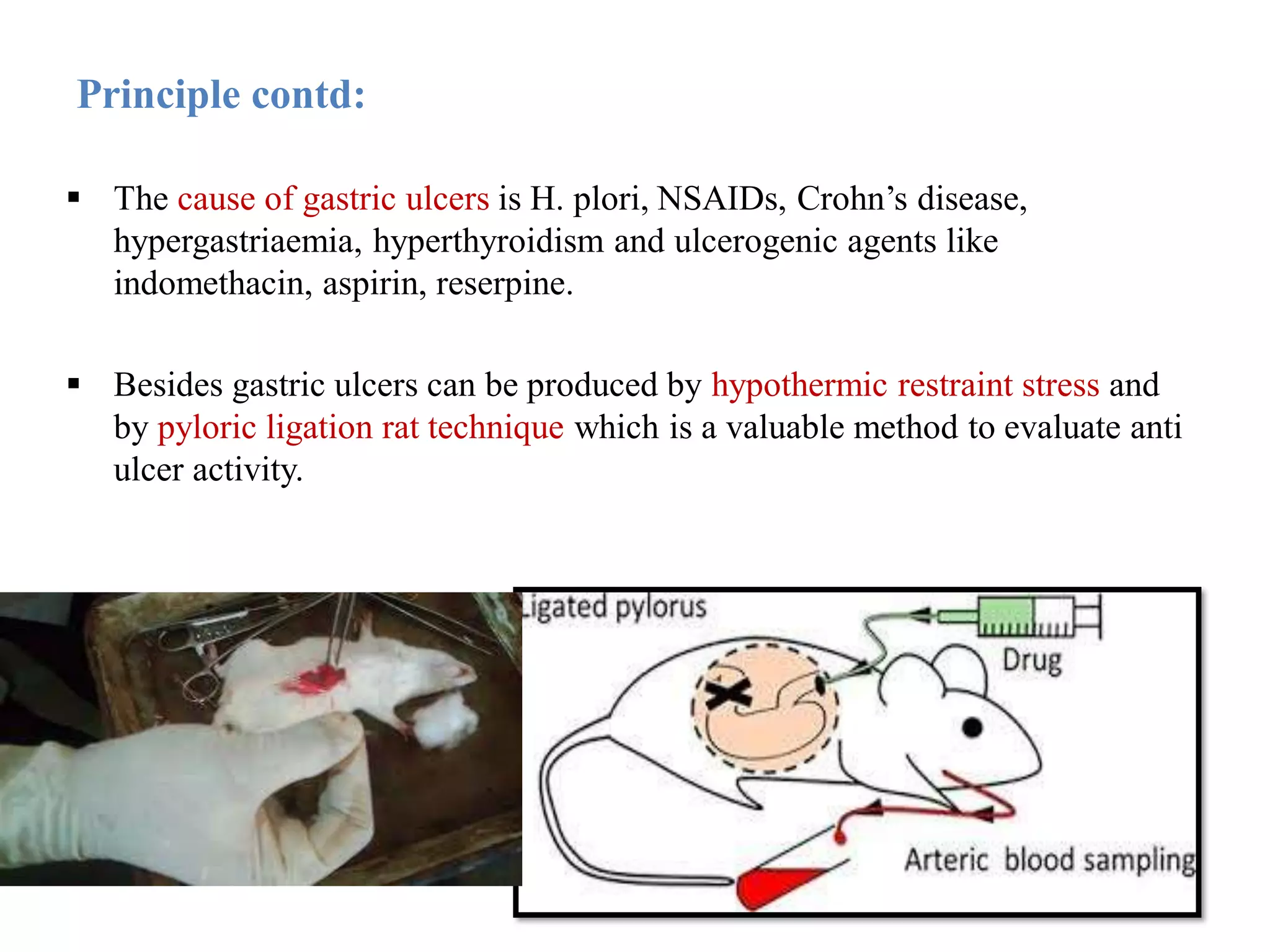 Principle contd:
 The cause of gastric ulcers is H. plori, NSAIDs, Crohn’s disease,
hypergastriaemia, hyperthyroidism and ulcerogenic agents like
indomethacin, aspirin, reserpine.
 Besides gastric ulcers can be produced by hypothermic restraint stress and
by pyloric ligation rat technique which is a valuable method to evaluate anti
ulcer activity.
 