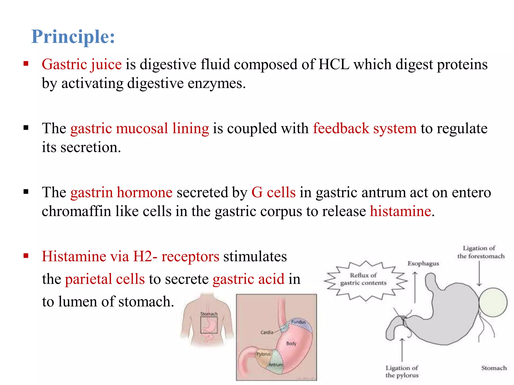 Principle:
 Gastric juice is digestive fluid composed of HCL which digest proteins
by activating digestive enzymes.
 The gastric mucosal lining is coupled with feedback system to regulate
its secretion.
 The gastrin hormone secreted by G cells in gastric antrum act on entero
chromaffin like cells in the gastric corpus to release histamine.
 Histamine via H2- receptors stimulates
the parietal cells to secrete gastric acid in
to lumen of stomach.
 