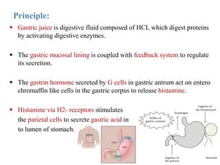 Principle:
 Gastric juice is digestive fluid composed of HCL which digest proteins
by activating digestive enzymes.
 The gastric mucosal lining is coupled with feedback system to regulate
its secretion.
 The gastrin hormone secreted by G cells in gastric antrum act on entero
chromaffin like cells in the gastric corpus to release histamine.
 Histamine via H2- receptors stimulates
the parietal cells to secrete gastric acid in
to lumen of stomach.
 