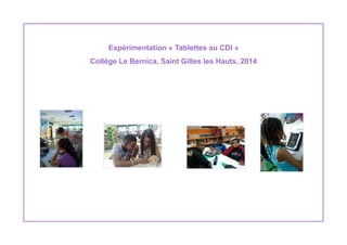 Expérimentation « Tablettes au CDI »
Collège Le Bernica, Saint Gilles les Hauts, 2014
 
