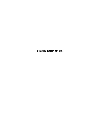 FICHA SNIP N° 04 
 