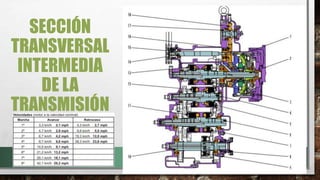 SECCIÓN
TRANSVERSAL
INTERMEDIA
DE LA
TRANSMISIÓN
 