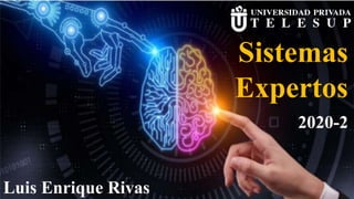 1
Escuela Ingeniería Sistemas
SISTEMAS EXPERTOS
Prof.: LUIS ENRIQUE RIVAS (2019-2)
Sistemas
Expertos
2020-2
Luis Enrique Rivas
 
