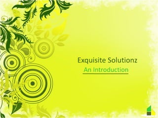 Exquisite Solutionz - An Introduction