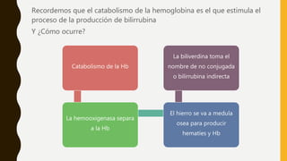Recordemos que el catabolismo de la hemoglobina es el que estimula el
proceso de la producción de bilirrubina
Y ¿Cómo ocurre?
Catabolismo de la Hb
La hemooxigenasa separa
a la Hb
El hierro se va a medula
osea para producir
hematíes y Hb
La biliverdina toma el
nombre de no conjugada
o bilirrubina indirecta
 