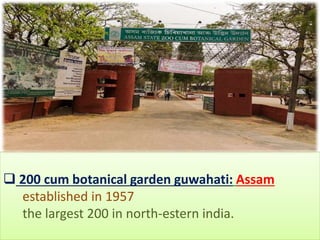  200 cum botanical garden guwahati: Assam
established in 1957
the largest 200 in north-estern india.
 