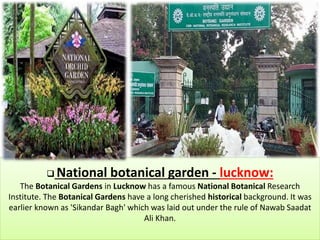  National botanical garden - lucknow:
The Botanical Gardens in Lucknow has a famous National Botanical Research
Institute. The Botanical Gardens have a long cherished historical background. It was
earlier known as 'Sikandar Bagh' which was laid out under the rule of Nawab Saadat
Ali Khan.
 