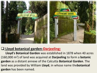  Lloyd botanical garden-Darjeeling:
Lloyd's Botanical Garden was established in 1878 when 40 acres
(160,000 m2) of land was acquired at Darjeeling to form a botanic
garden as a distant annexe of the Calcutta Botanical Garden. The
land was provided by William Lloyd, in whose name thebotanical
garden has been named.
 