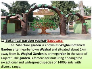  Botanical garden vaghai-Saputara:
The 24hectare garden is known as Waghai Botanical
Garden after nearby town Waghai and situated about 2km
away from it. Waghai Garden is primegarden in the state of
Gujarat. The garden is famous for nurturing endangered
exceptional and widespread species of 1400plants with
diverse range.
 