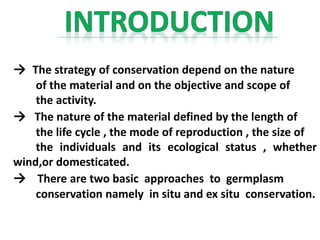 → The strategy of conservation depend on the nature
of the material and on the objective and scope of
the activity.
→ The nature of the material defined by the length of
the life cycle , the mode of reproduction , the size of
the individuals and its ecological status , whether
wind,or domesticated.
→ There are two basic approaches to germplasm
conservation namely in situ and ex situ conservation.
 