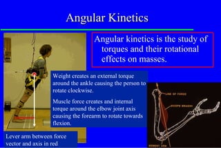Exss 3850 10 summer angular kinetics | PPT