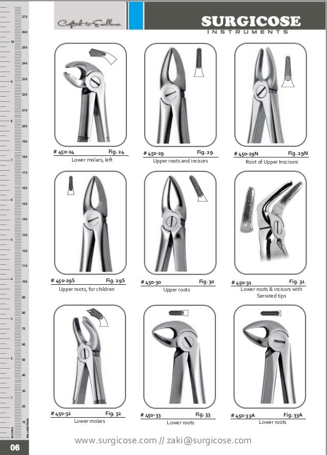 EXTRACTING FORCEPS [ENGLISH PATTERN] BY SURGICOSE