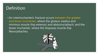 Definition
• An intertrochanteric fracture occurs between the greater
and lesser trochanter, where the gluteus medius and
minimus muscle (hip extensor and abductor)attach, and the
lesser trochanter, where the iliopsoas muscle (hip
flexor)attaches.
 