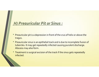 External ear abnormalities