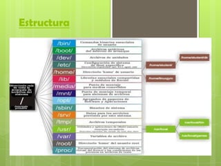 Estructura
 