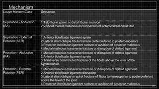 Mechanism
20
Lauge-Hansen Class Sequence
Supination - Adduction
(SA)
1.Talofibular sprain or distal fibular avulsion
2.Vertical medial malleolus and impaction of anteromedial distal tibia
Supination - External
Rotation (SER)
1.Anterior tibiofibular ligament sprain
2.Lateral short oblique fibula fracture (anteroinferior to posterosuperior)
3.Posterior tibiofibular ligament rupture or avulsion of posterior malleolus
4.Medial malleolus transverse fracture or disruption of deltoid ligament
Pronation - Abduction
(PA)
1.Medial malleolus transverse fracture or disruption of deltoid ligament
2.Anterior tibiofibular ligament sprain
3.Transverse comminuted fracture of the fibula above the level of the
Syndesmosis
Pronation - External
Rotation (PER)
1.Medial malleolus transverse fracture or disruption of deltoid ligament
2.Anterior tibiofibular ligament disruption
3.Lateral short oblique or spiral fracture of fibula (anterosuperior to posteroinferior)
above the level of the joint
4.Posterior tibiofibular ligament rupture or avulsion of posterior malleolus
 