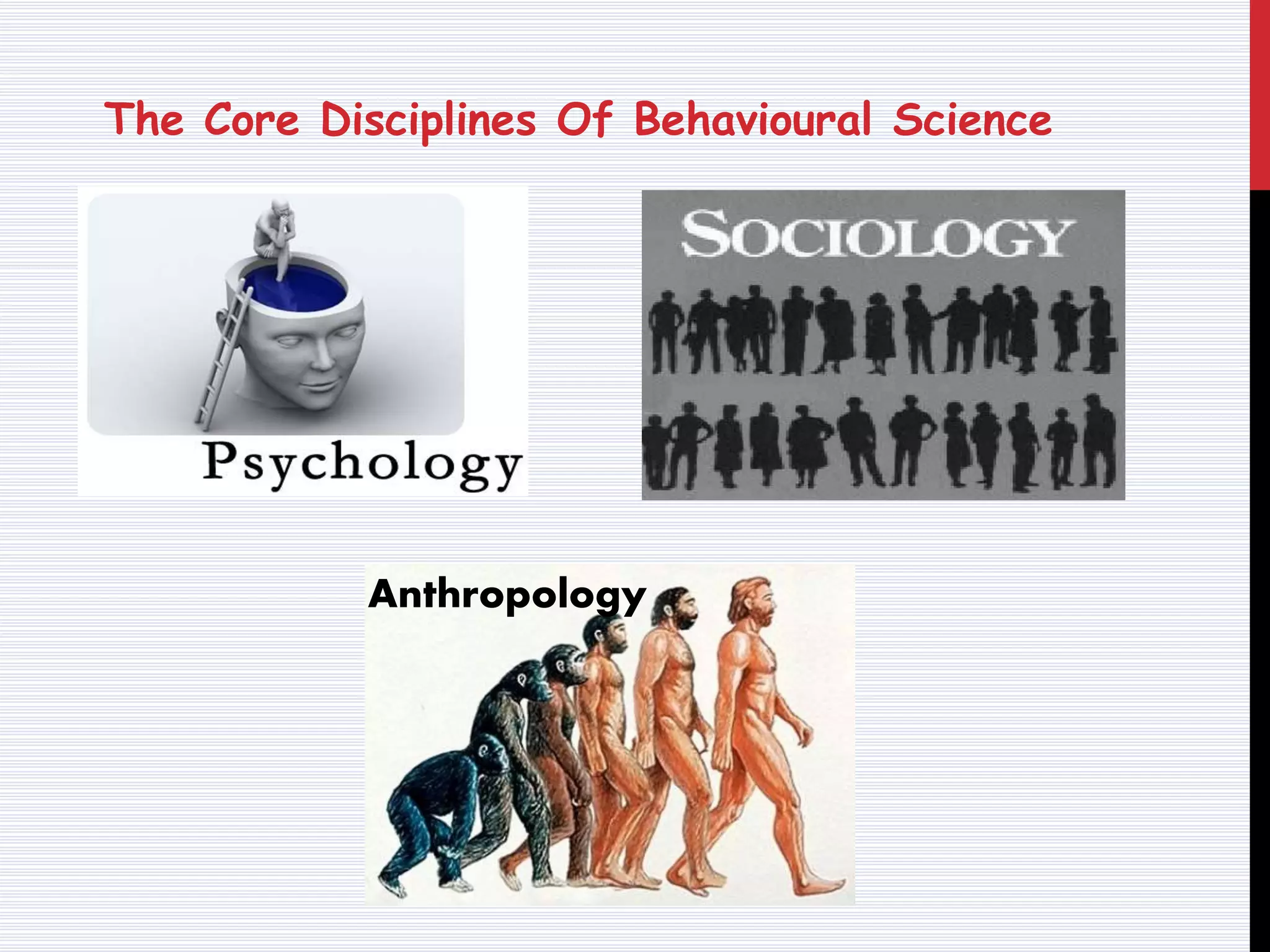 The Core Disciplines Of Behavioural Science
Anthropology
 