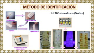  TLC-normalizada (Toxilab)
EXTRACCIÓN CONCENTRACIÓN
SIEMBRA
DESARROLLO
INTERPRETACIÓN DE
RESULTADOS
 