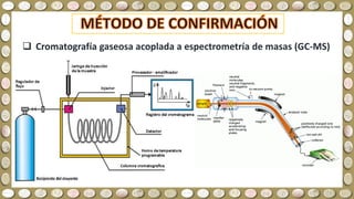  Cromatografía gaseosa acoplada a espectrometría de masas (GC-MS)
 