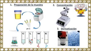 1. Preparación de la muestra
pH= 6
2. Concentración
3. Derivatización
 