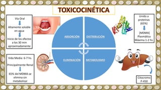 Altamente soluble
en agua
Vía Oral
Inicio de los efectos
a los 30 min
aproximadamente
Unido a
proteínas
(65%)
[MDMA]
Plasmática
Máxima 1-2 hs.
Citocromo
P-450
Principalmente Renal
65% del MDMA se
elimina sin
metabolizar
Vida Media: 6-7 hs.
ABSORCIÓN DISTRIBUCIÓN
METABOLISMOELIMINACIÓN
 