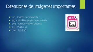 Extensiones de imágenes importantes
 .gif - Imagen en movimiento
 .jpg - Joint Photographic Experts Group
 .png - Portable Network Graphics
 .psd – Photoshop
 .dwg - AutoCAD
 
