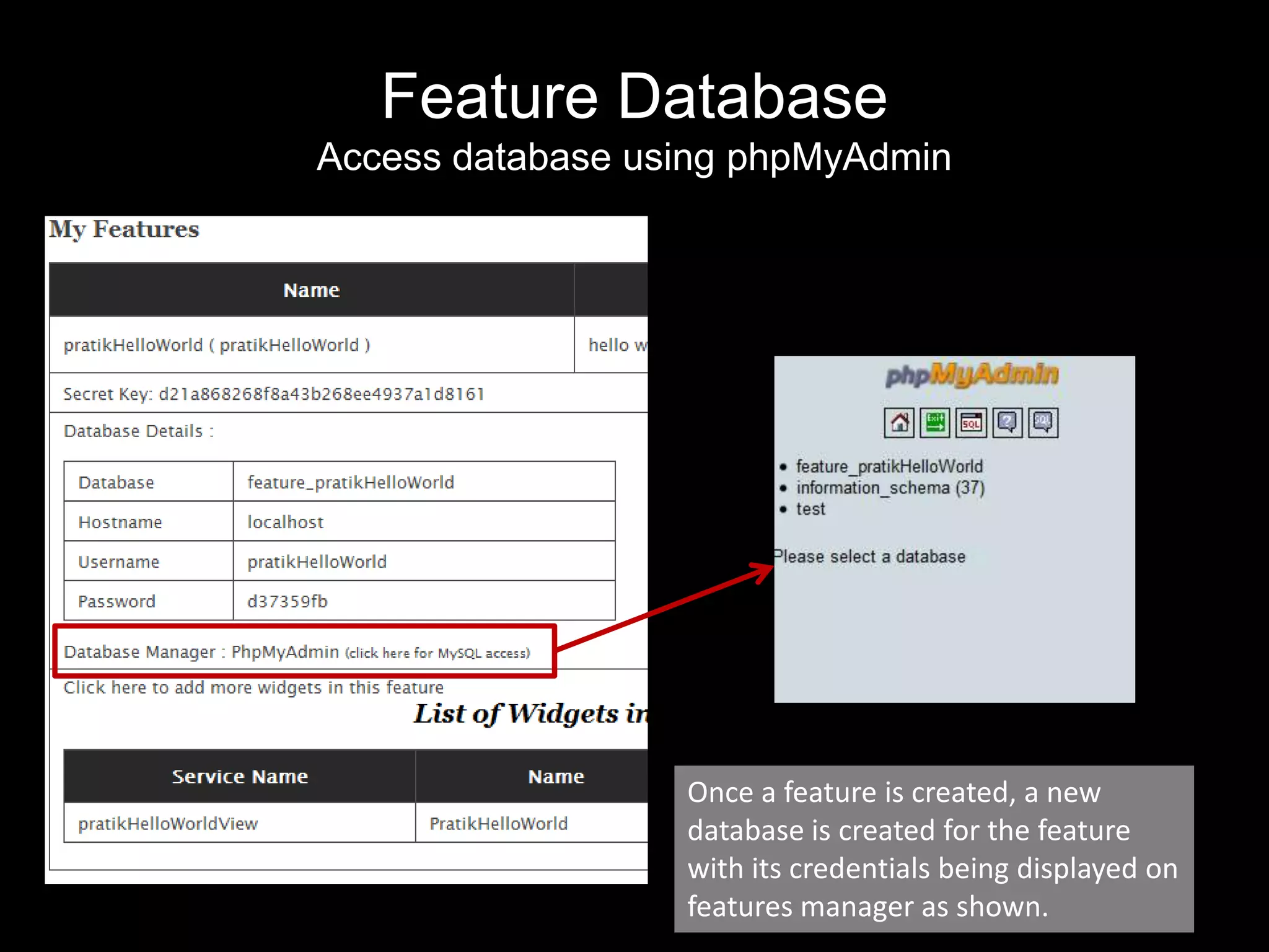 Feature Database Access database using phpMyAdminOnce a feature is created, a new database is created for the feature with its credentials being displayed on features manager as shown.