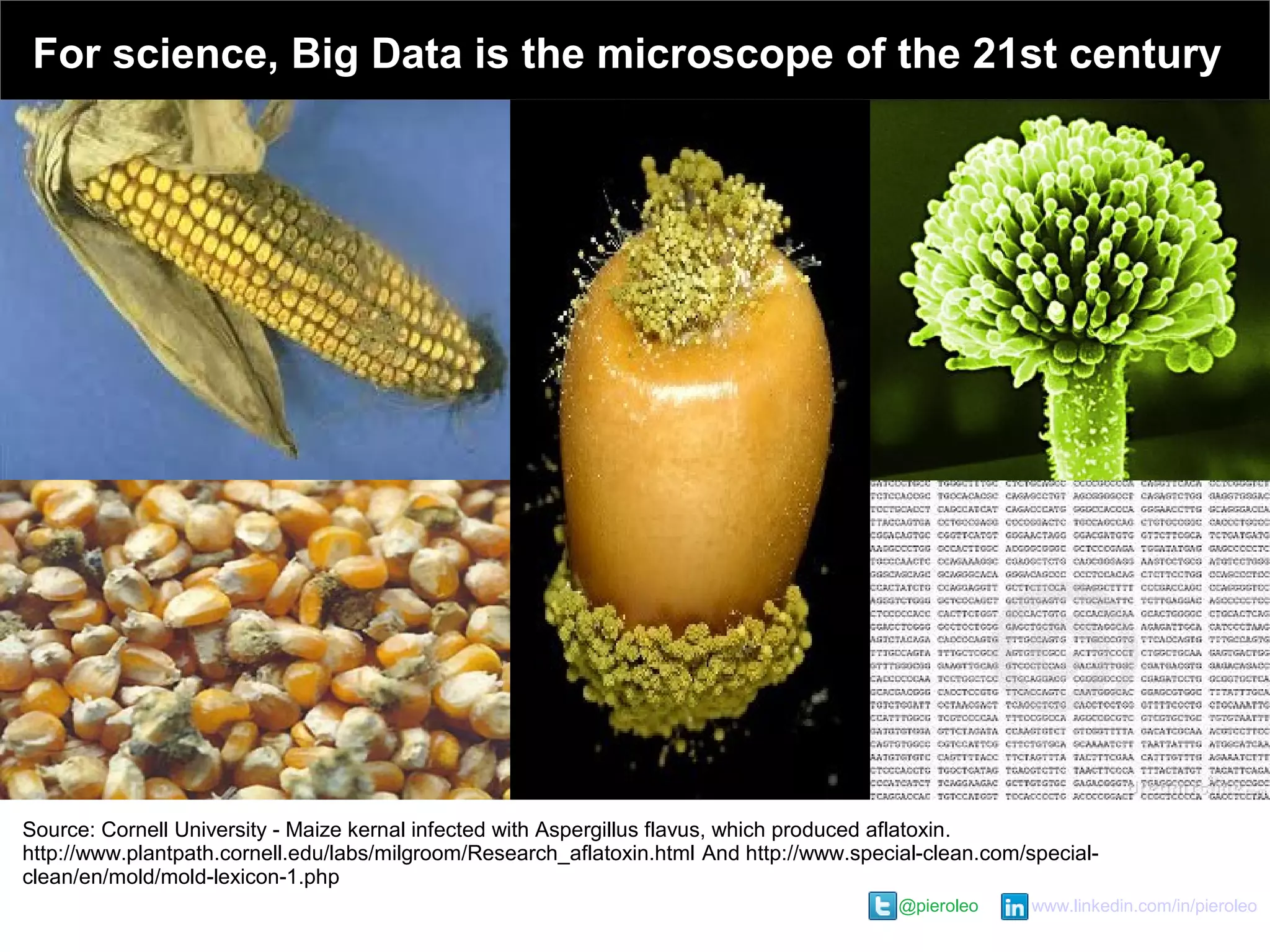 @pieroleo www.linkedin.com/in/pieroleo
@pieroleo www.linkedin.com/in/pieroleo
Source: Cornell University - Maize kernal infected with Aspergillus flavus, which produced aflatoxin.
http://www.plantpath.cornell.edu/labs/milgroom/Research_aflatoxin.html And http://www.special-clean.com/special-
clean/en/mold/mold-lexicon-1.php
For science, Big Data is the microscope of the 21st century
 