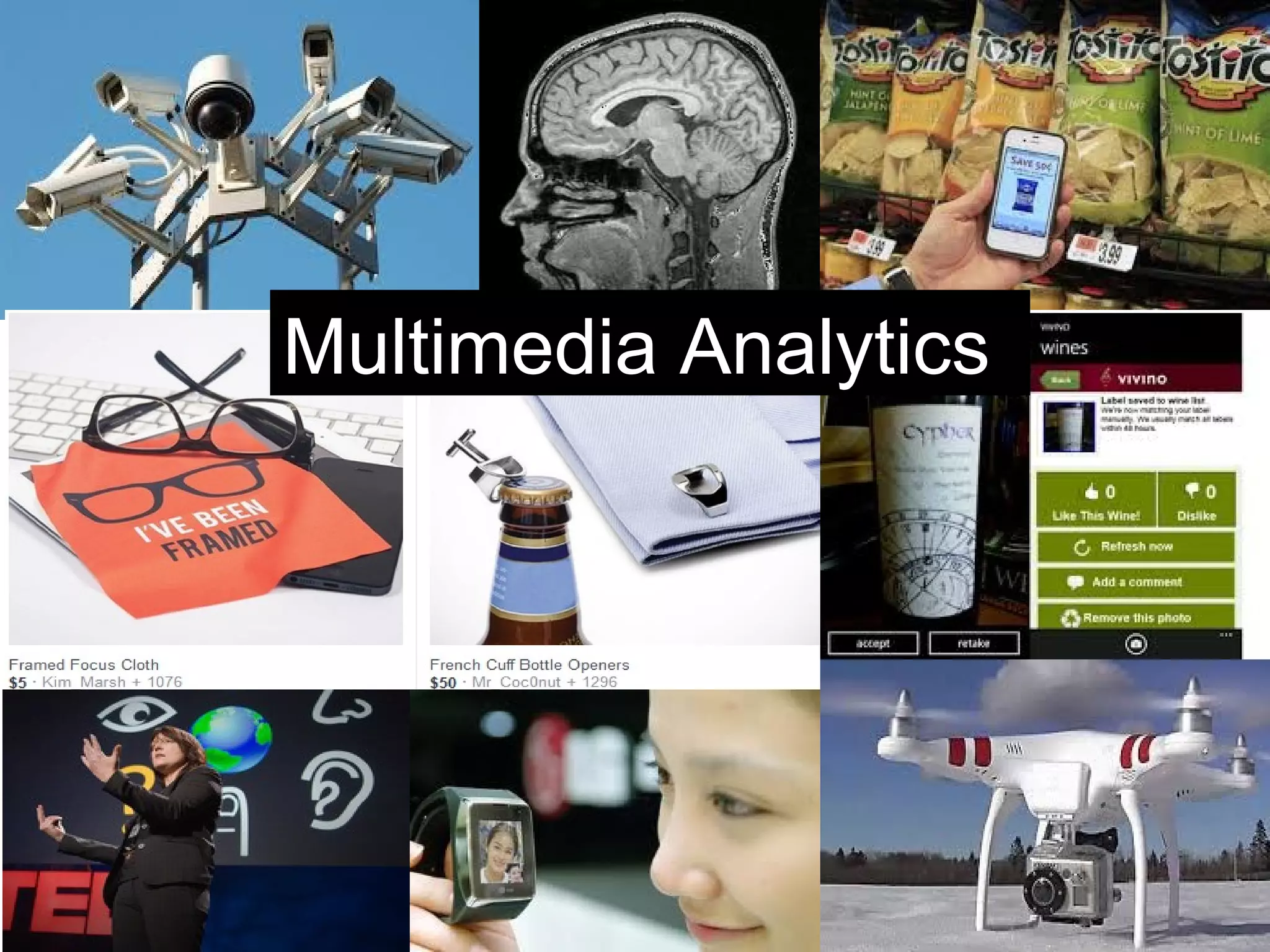 Multimedia Analytics
 