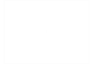 Extended Essay – Group 4