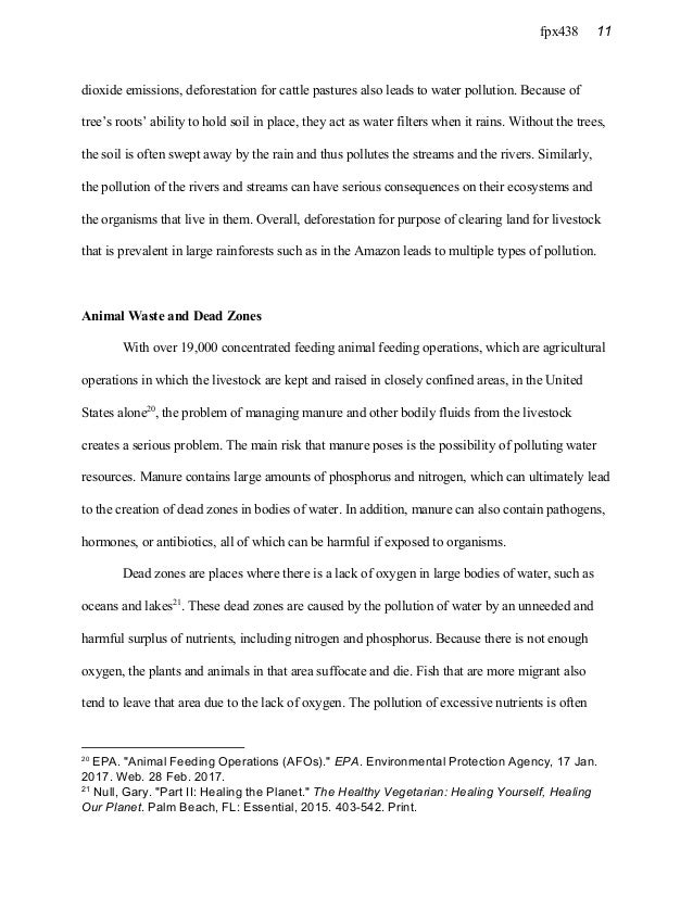 Vegetarian health essay