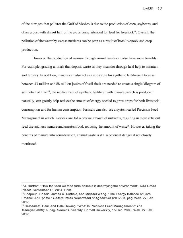 Best extended essays image