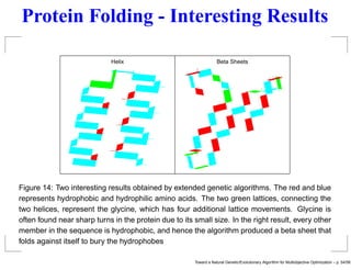 Toward a Natural Genetic / Evolutionary Algorithm for Multiobjective ...