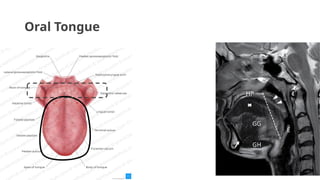 IMAGING IN ORAL CANCER | PPTX