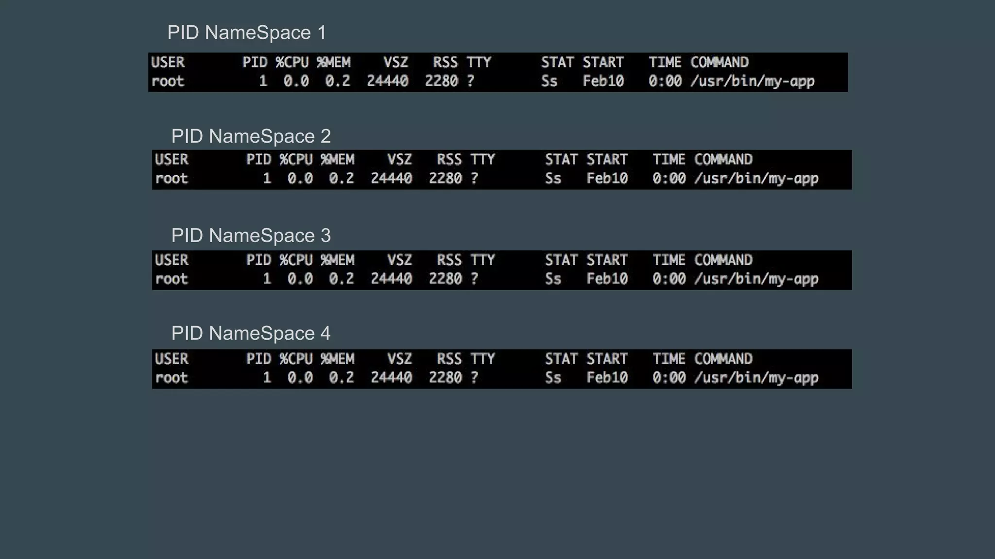 PID NameSpace 1
PID NameSpace 2
PID NameSpace 3
PID NameSpace 4
 