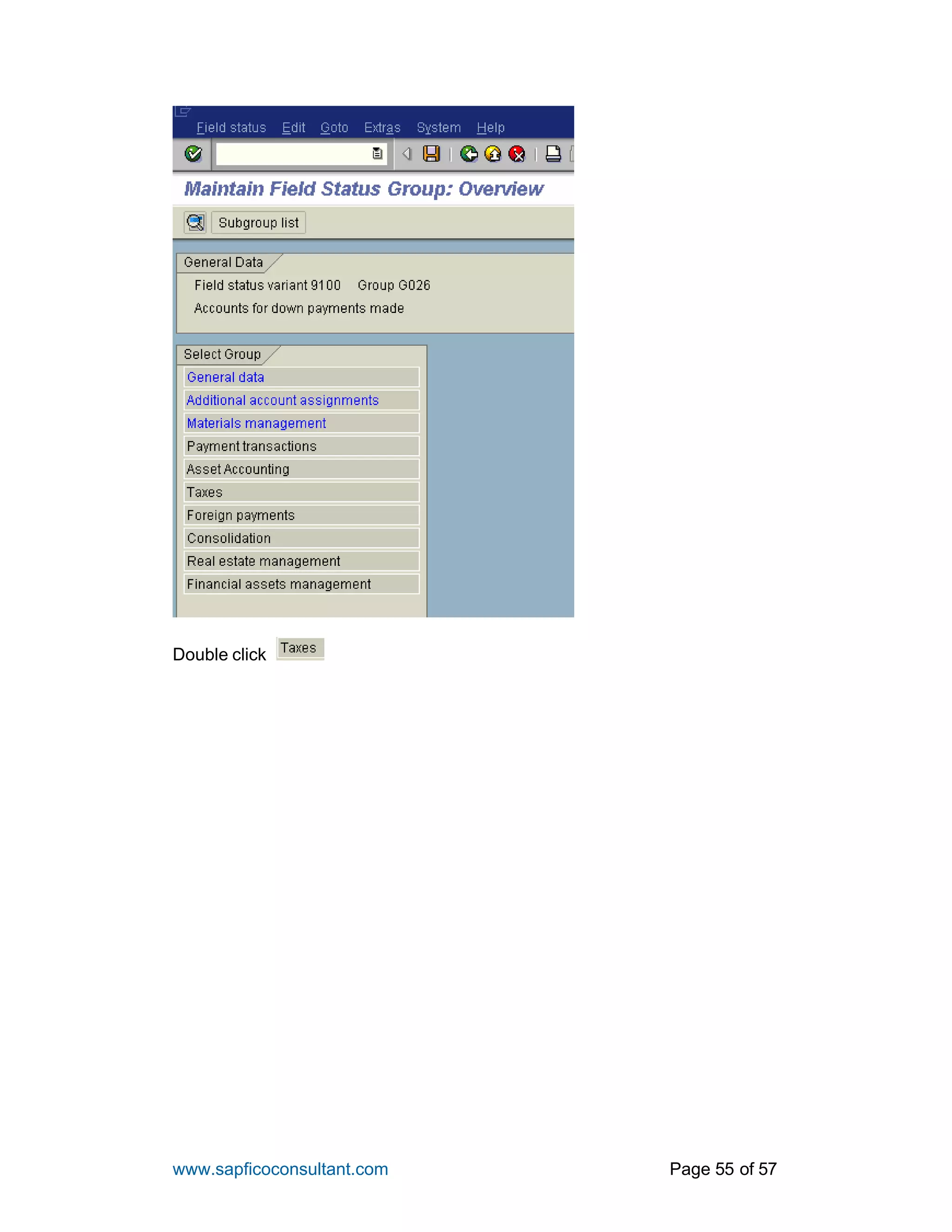 www.sapficoconsultant.com Page 55 of 57
Double click
 
