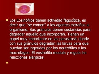 Los Eosinófilos tienen actividad fagocítica, es decir que "se comen" a los agentes extraños al organismo. Sus gránulos tienen sustancias para degradar aquello que incorporan. Tienen un papel muy importante en las parasitosis donde con sus gránulos degradan las larvas para que puedan ser ingeridas por los neutrófilos y los macrófagos. El eosinófilo modula y regula las reacciones alérgicas.   