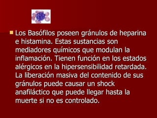 Los Basófilos poseen gránulos de heparina e histamina. Estas sustancias son mediadores químicos que modulan la inflamación. Tienen función en los estados alérgicos en la hipersensibilidad retardada. La liberación masiva del contenido de sus gránulos puede causar un shock anafiláctico que puede llegar hasta la muerte si no es controlado.   