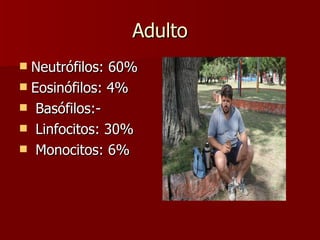 Adulto Neutrófilos: 60%  Eosinófilos: 4% Basófilos:- Linfocitos: 30% Monocitos: 6% 