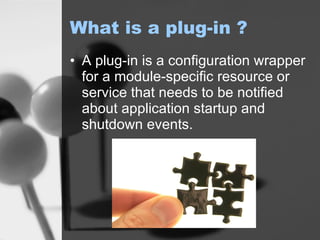 What is a plug-in ? A plug-in is a configuration wrapper for a module-specific resource or service that needs to be notified about application startup and shutdown events. 