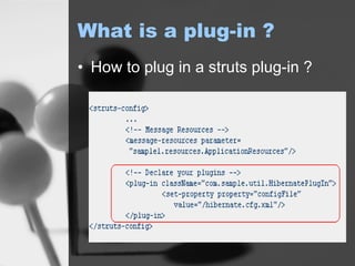 What is a plug-in ? How to plug in a struts plug-in ? 