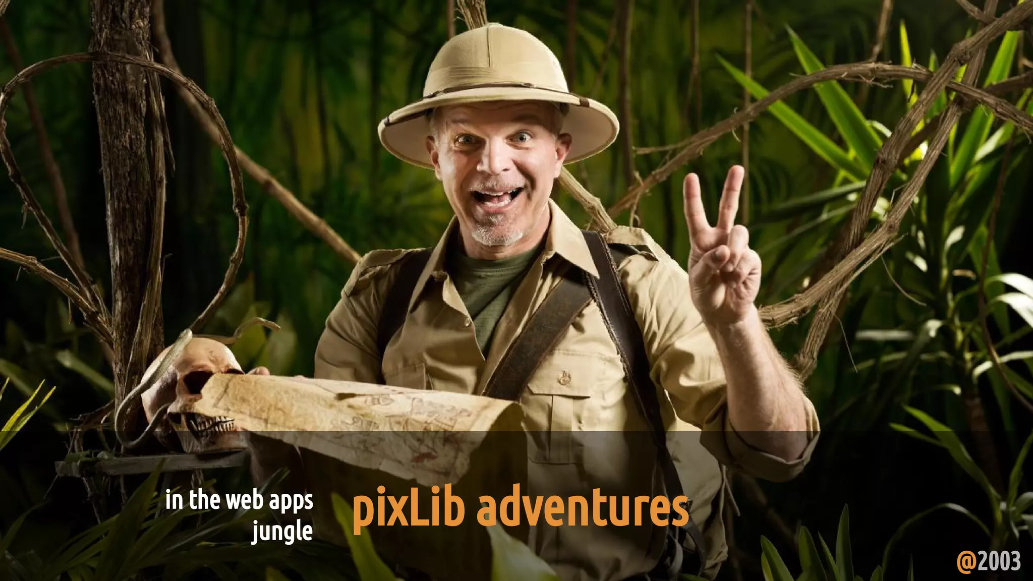 in the web apps
jungle
pixLib adventures
@2003
 