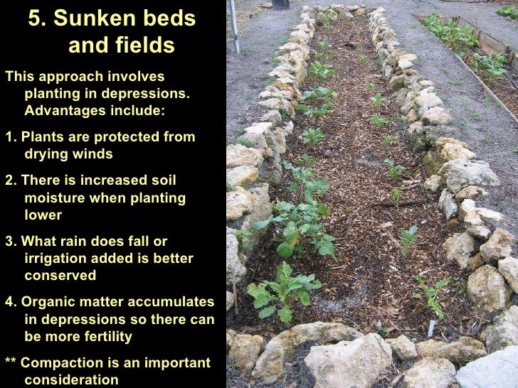 sunken nursery bed