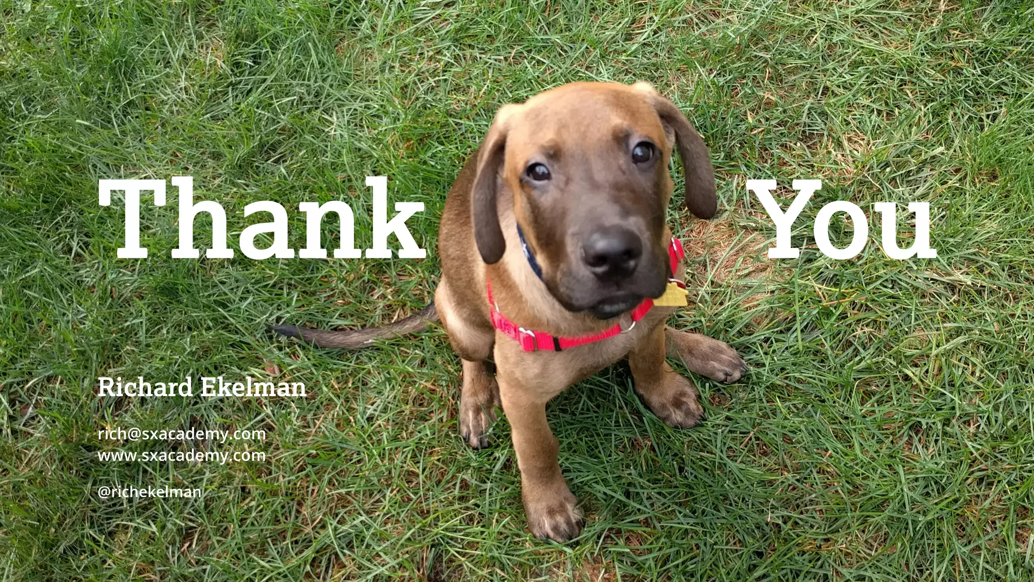 Thank You
Richard Ekelman
rich@sxacademy.com
www.sxacademy.com
@richekelman
 