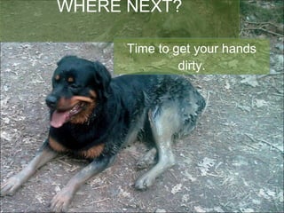 WHERE NEXT? Time to get your hands dirty. 