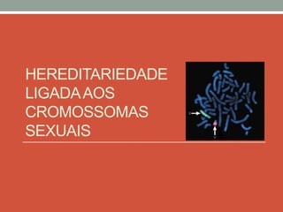 HEREDITARIEDADE
LIGADA AOS
CROMOSSOMAS
SEXUAIS
 