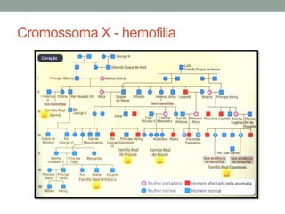 Cromossoma X - hemofilia
 