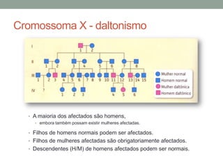 Cromossoma X - daltonismo




  • A maioria dos afectados são homens,
    • embora também possam existir mulheres afectadas.

  • Filhos de homens normais podem ser afectados.
  • Filhos de mulheres afectadas são obrigatoriamente afectados.
  • Descendentes (H/M) de homens afectados podem ser normais.
 